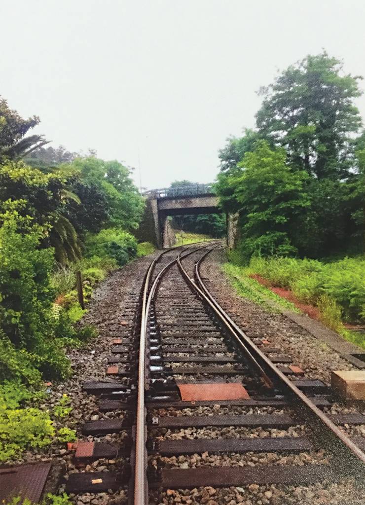 Um trilho de trem, cercado por árvores dos dois lados, centraliza-se na imagem. Mais à frente, o trilho passa por baixo de uma ponte de cimento.