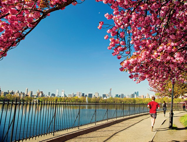 Considerado o primeiro parque público dos Estados Unidos, o Central Park é um dos maiores símbolos de Nova York