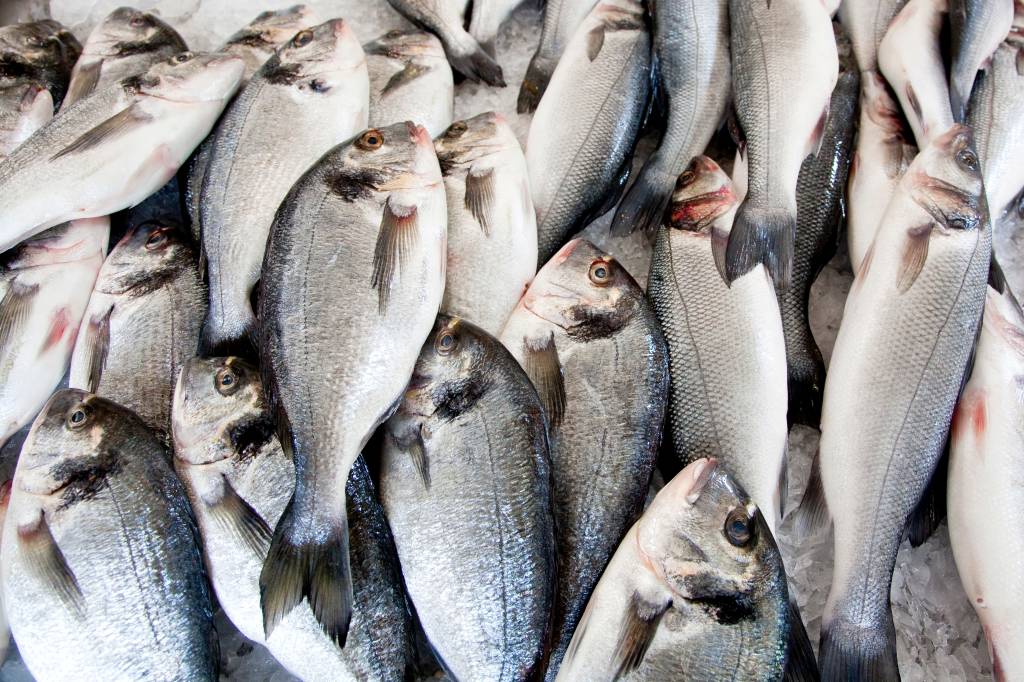 Peixe espada em banca do mercado de Funchal, na Ilha da Madeira, em Portugal