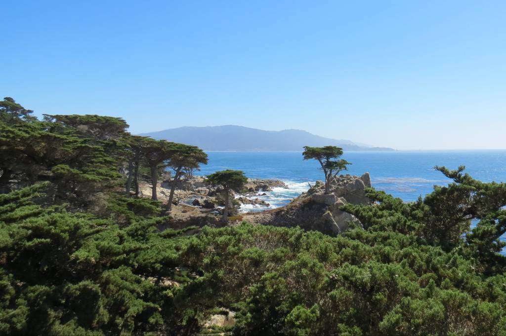 Está aberta! Essa estradinha panorâmica liga Monterey a Carmel, passando por praias desertas, uma colônia de leões-marinhos e paisagens como a do Cipreste Solitário (foto)