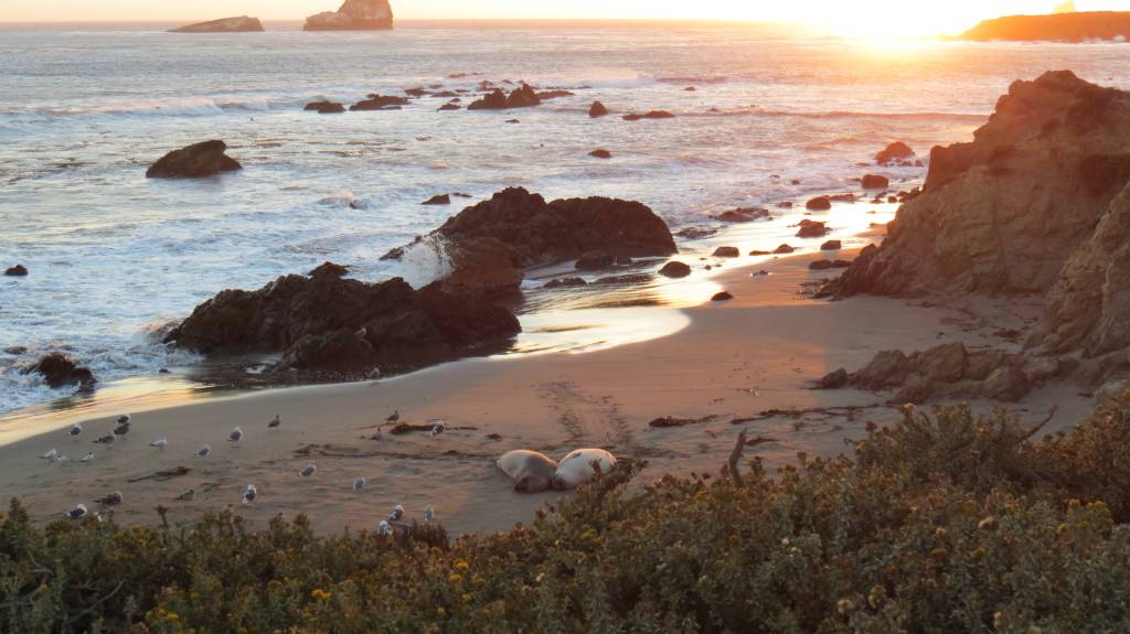 Incrível na hora do pôr do sol, esta praia abriga uma numerosa colônia de elefantes-marinhos, que podem ser observados de um mirante. Outra atração da rota que você ainda consegue acessar.