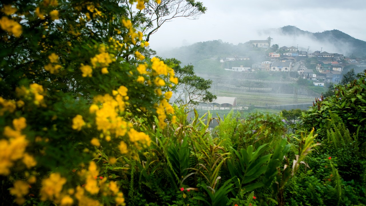 Vista geral da cidade de Paranapiacaba, na Serra do Mar, interior de São Paulo; em primeiro plano, plantas com flores, e ao fundo, a serra repleta de névoa
