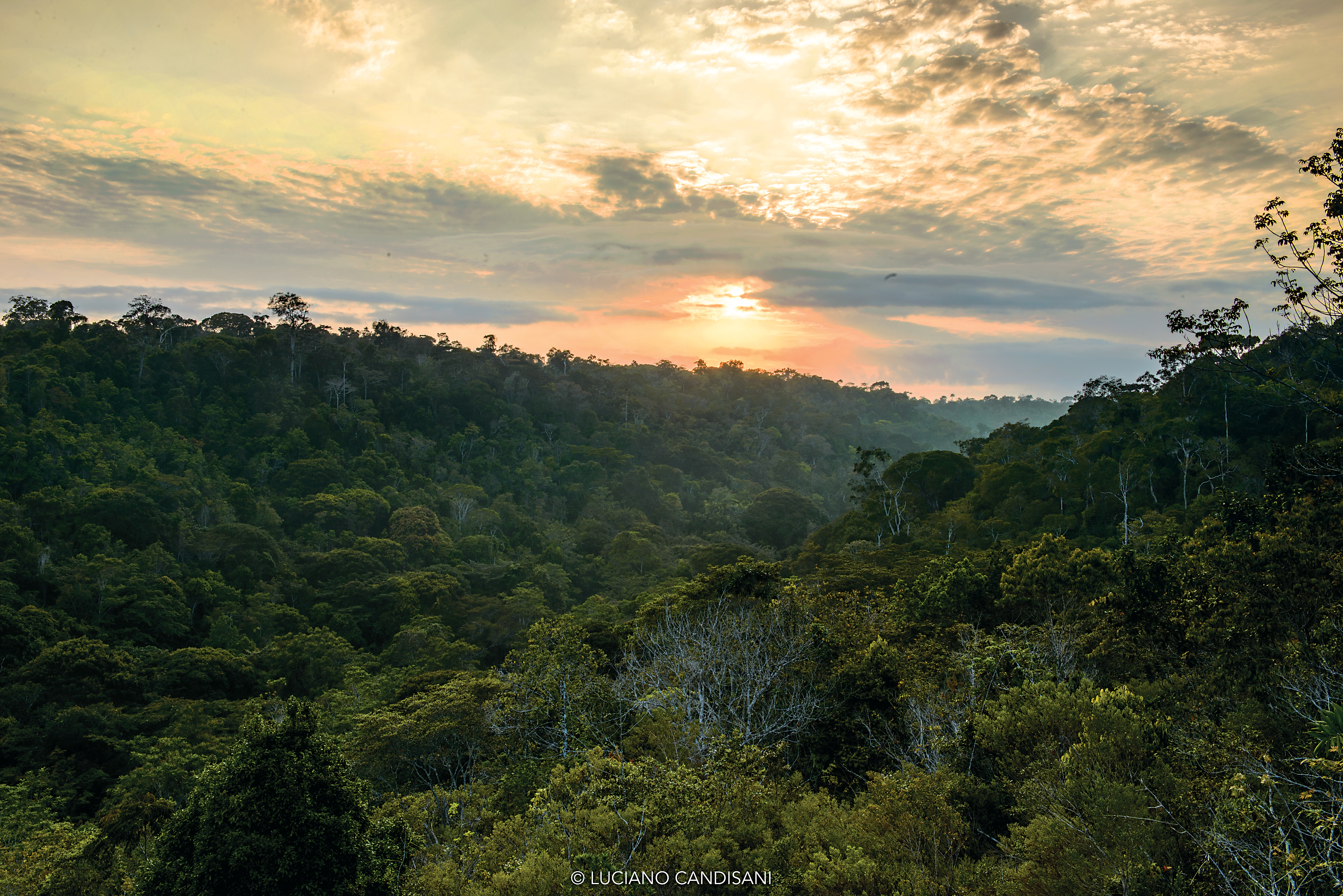 Como é o Parque Nacional do Pau-Brasil... | Viagem e Turismo