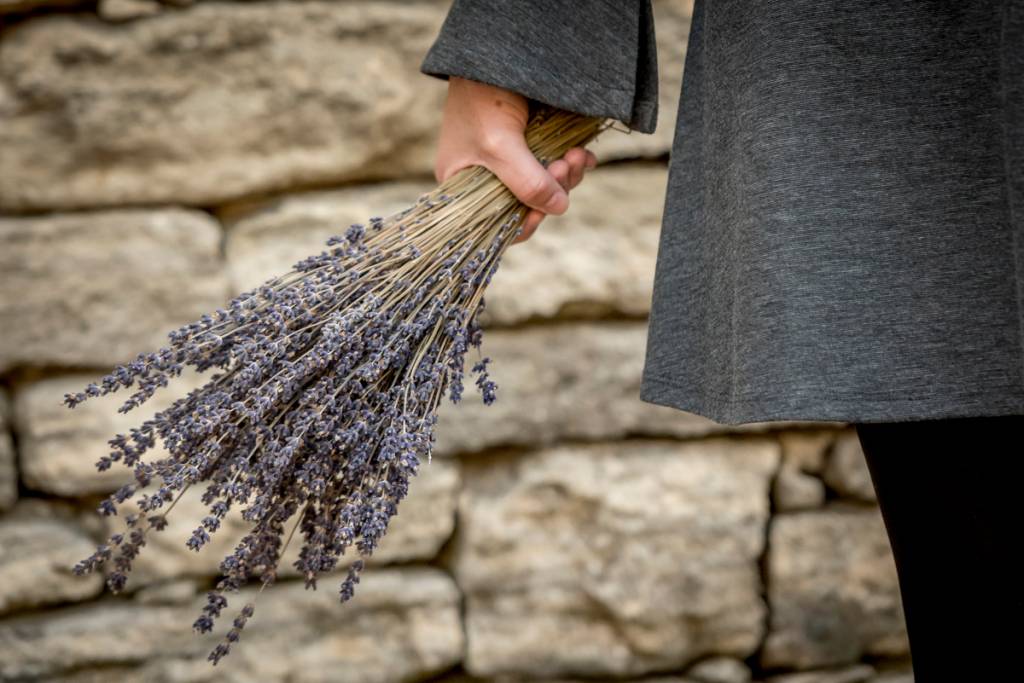 Lavanda, o ouro azul da Provence: campos floridos em julho e agosto