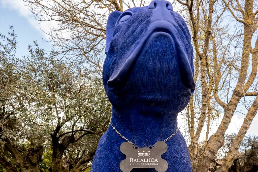 A mascote BAC, um imenso bull dog azul: boas-vindas