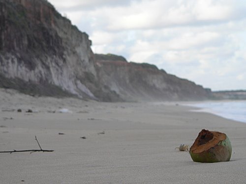 Praia Tambá, em Baía da Traição (PB): aldeia indígena no alto das falésias. Crédito: