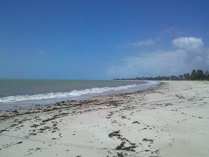 A Praia de Pitimbu dá as boas vindas a quem chega ao litoral paraibano proveniente do sul. Crédito: