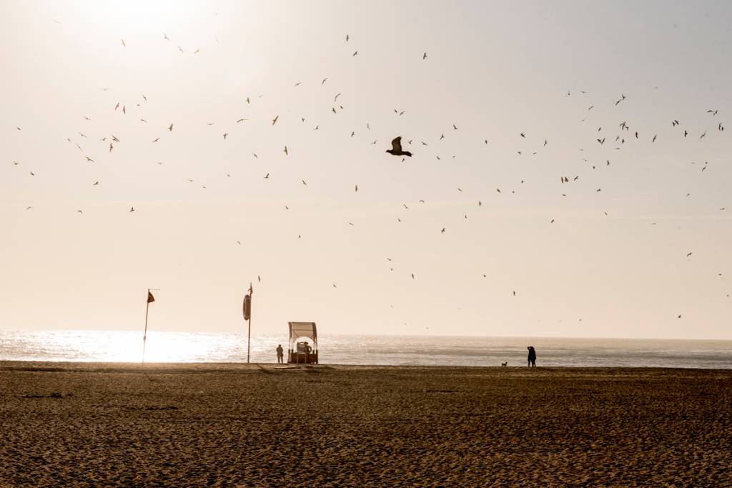 Calmaria antes da tormenta: um tranquilo dia de primavera na praia do centro