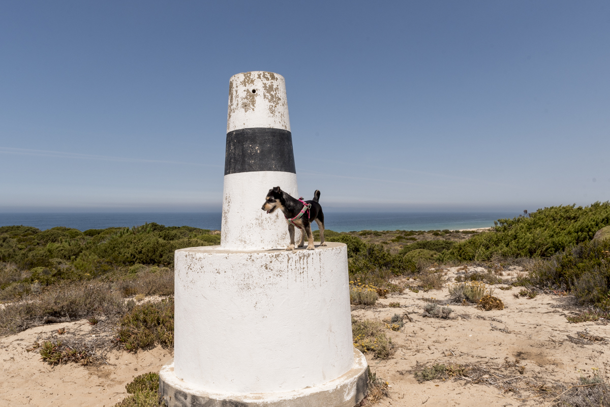O farol, o mar e a nossa cadelinha Leica feliz da vida