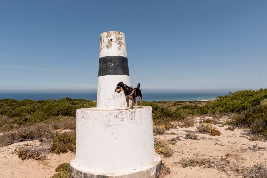 O farol, o mar e a nossa cadelinha Leica feliz da vida
