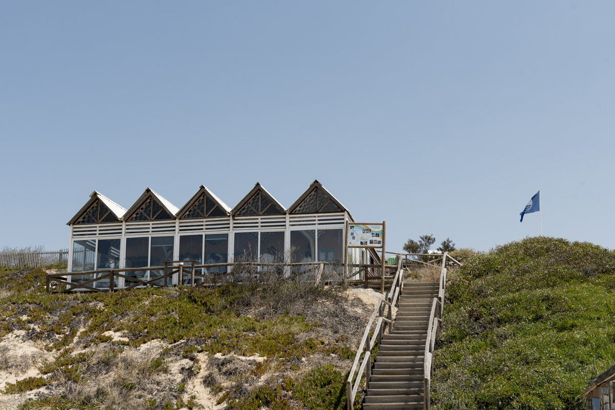 Bar dos Tigres, no alto da Praia da Aberta Nova: super alto astral