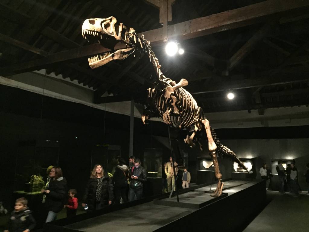 Réplica do esqueleto de um T-Rex: o queridinho dos gigantes