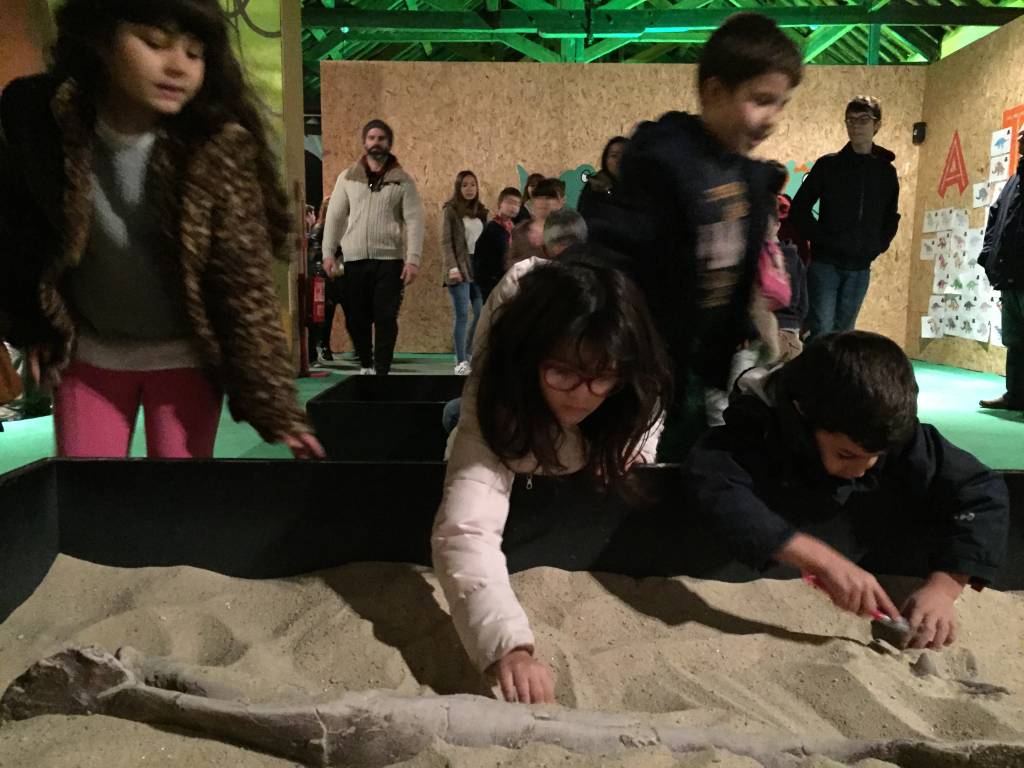 Tanques de areia para procurar os fósseis: atividades interativas