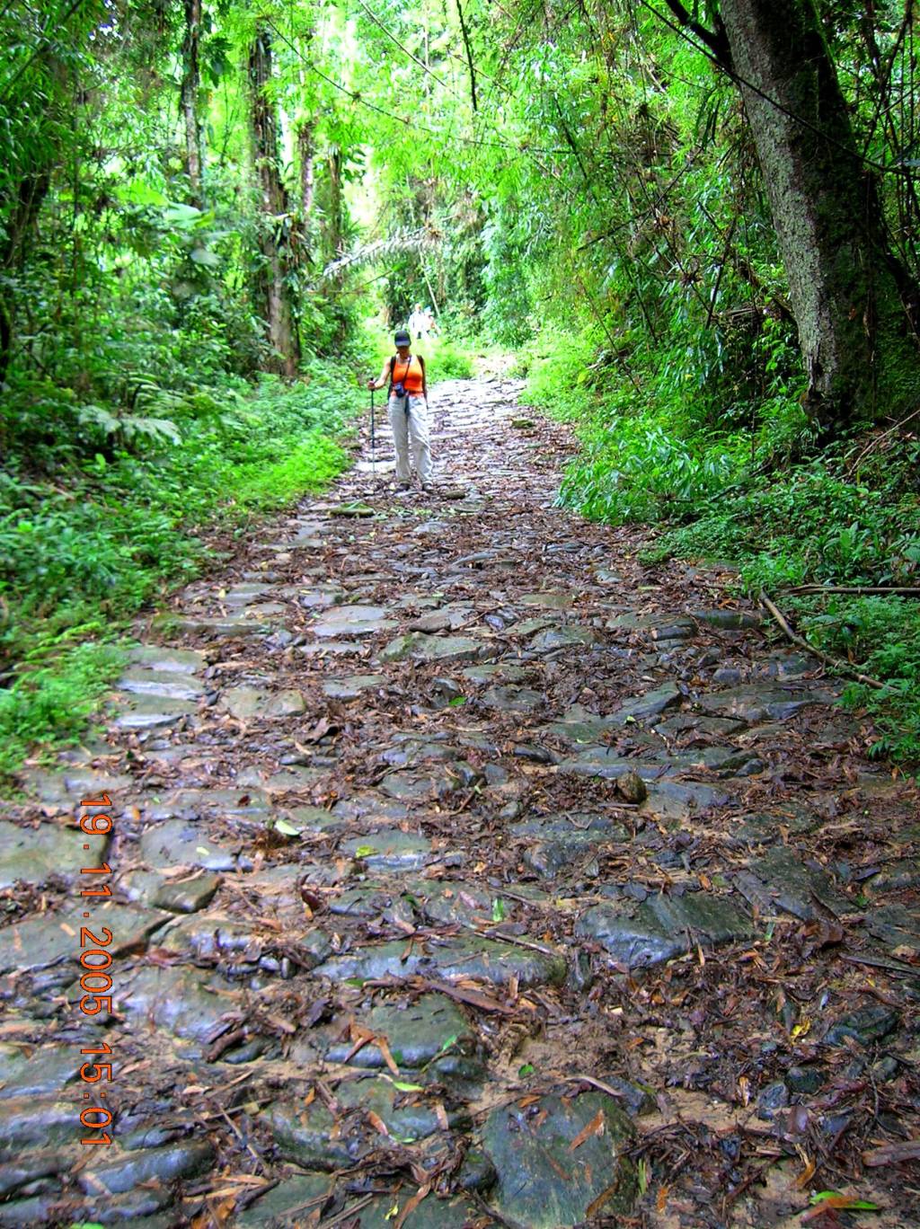 Calçamento de pedras da Trilha do Ouro