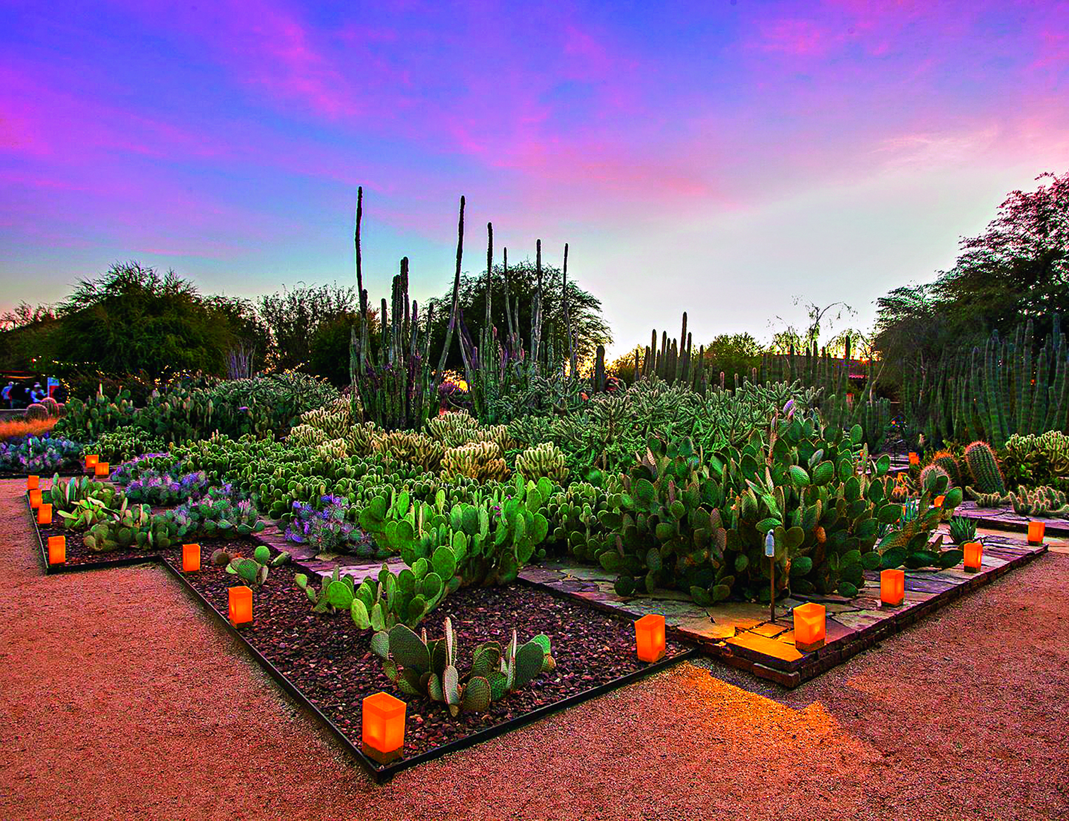 Deserto Botanical Garden, Phoenix