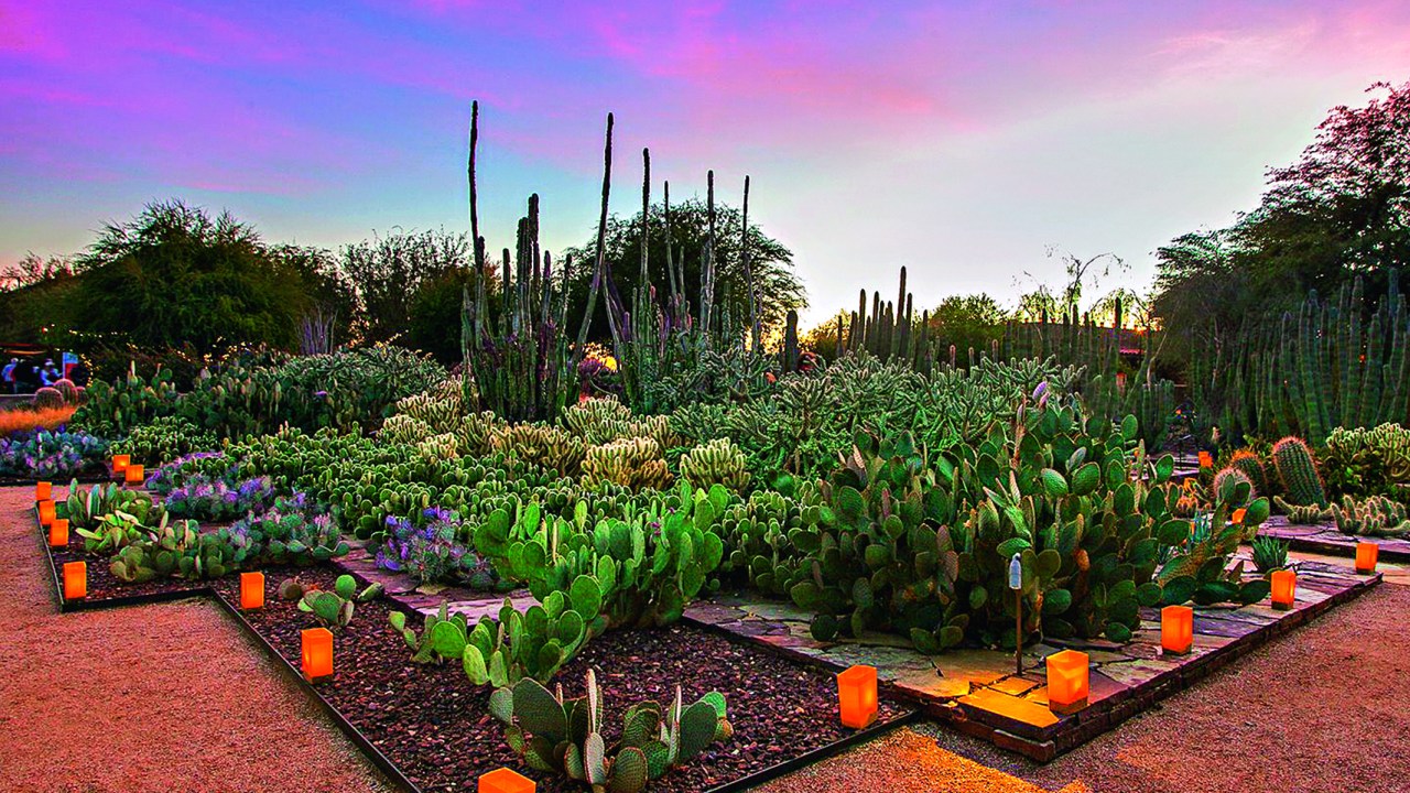 Deserto Botanical Garden, Phoenix