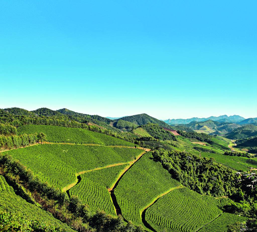 Vista dos cafezais da Venda Nova do Imigrante, Espírito Santo