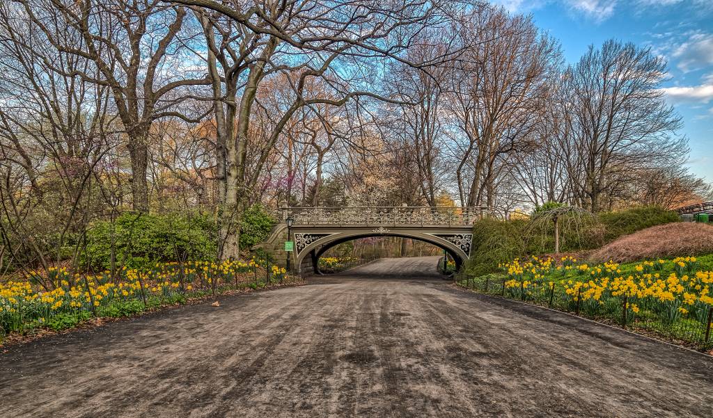 Central Park na primavera, Nova York