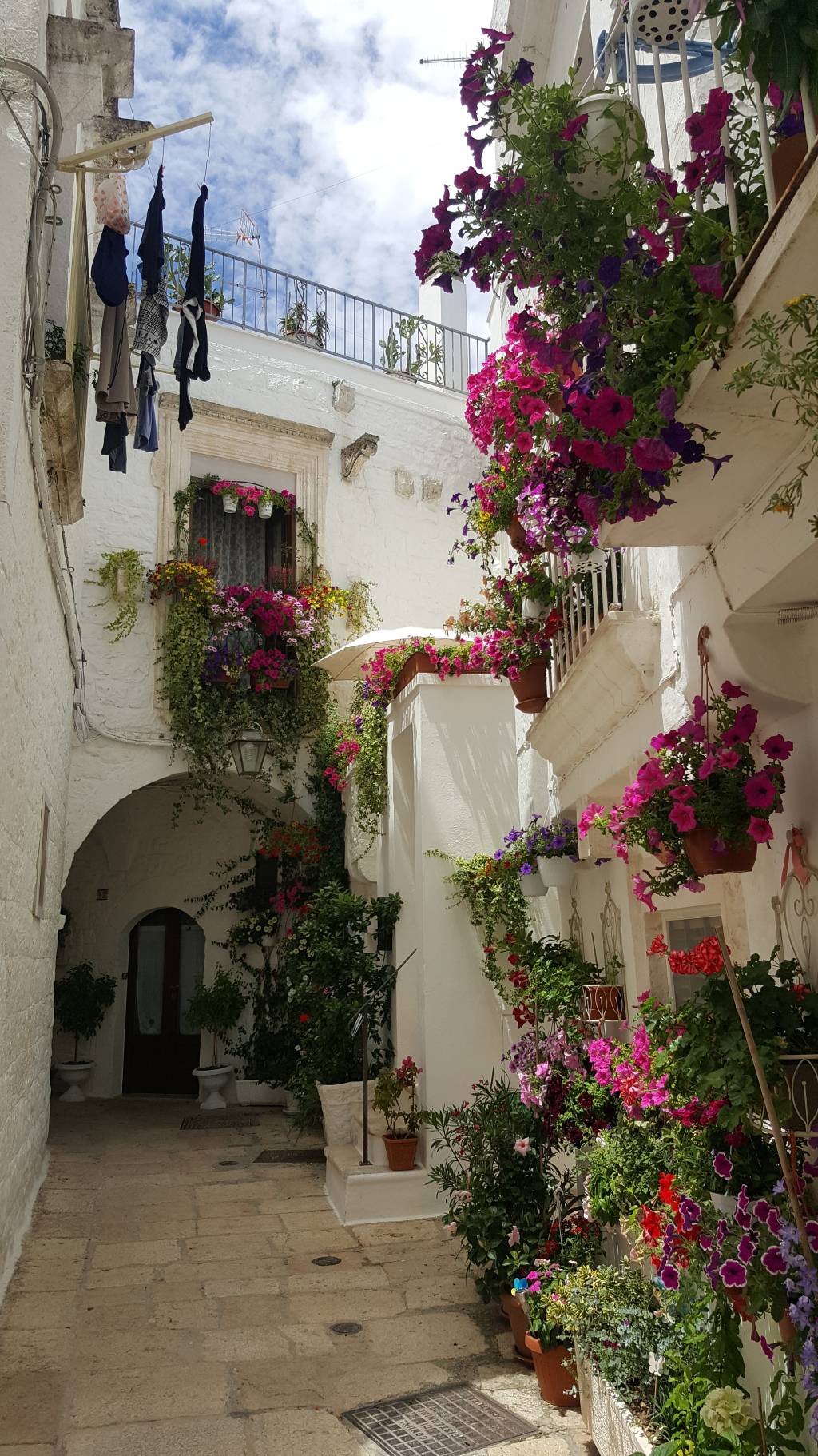 flores flores