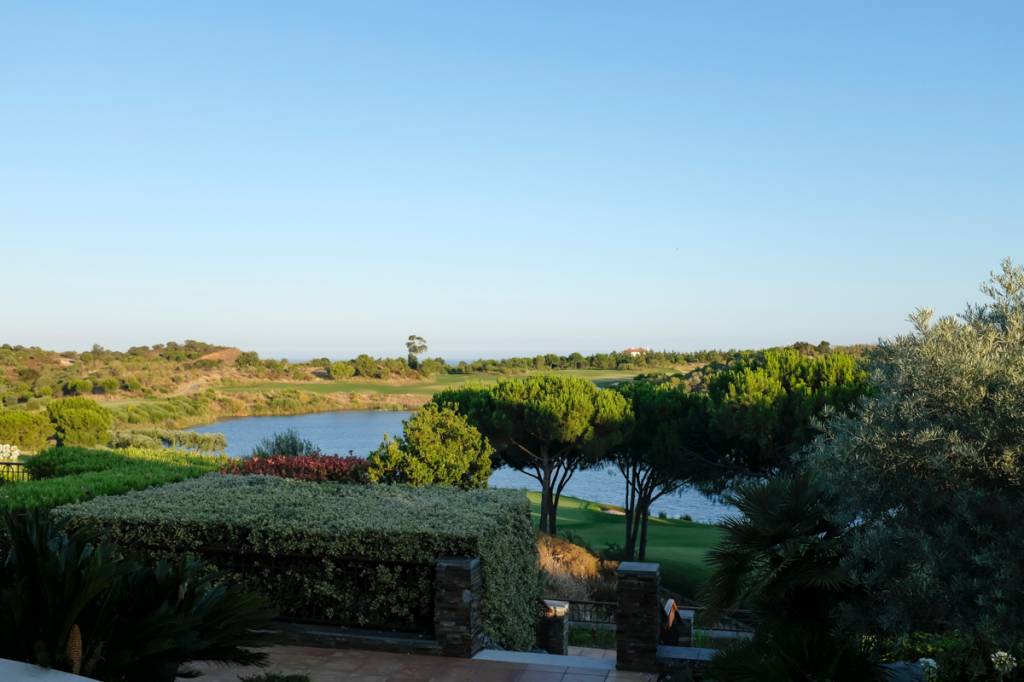 A vista do restaurante: verde a perder de vista