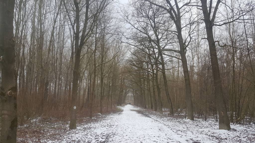 20180321_103328