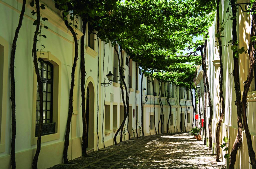 Jerez de la Frontera, Gonzales Byass