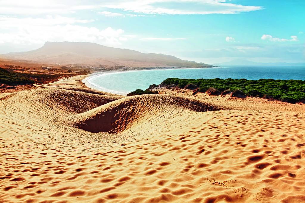 Bolonia, Tarifa