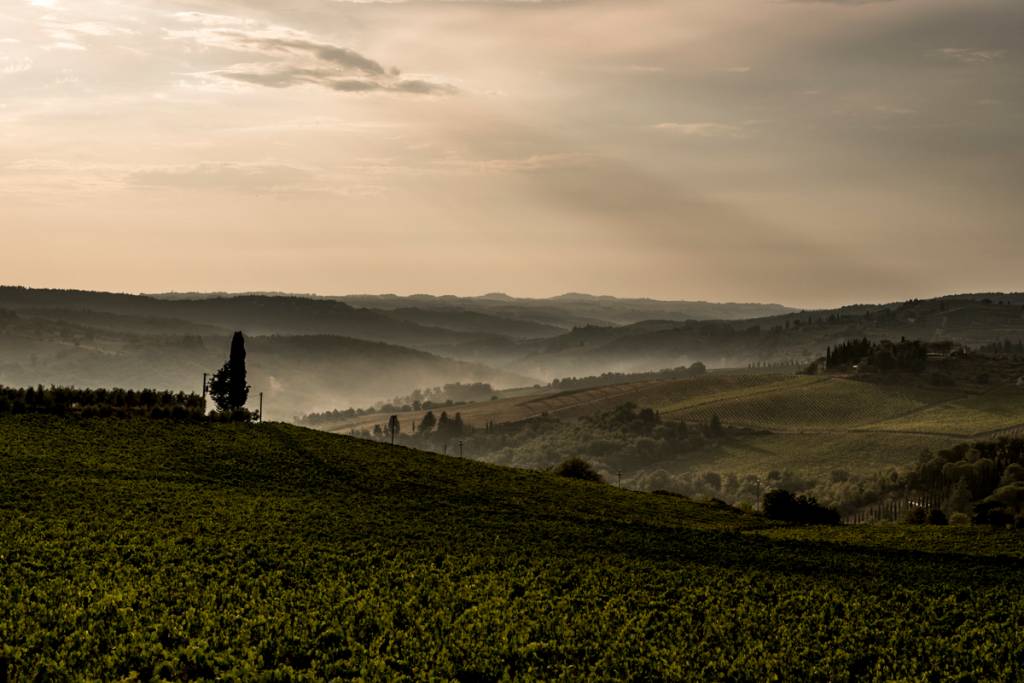 Vinhedos a perder de vista em Chianti