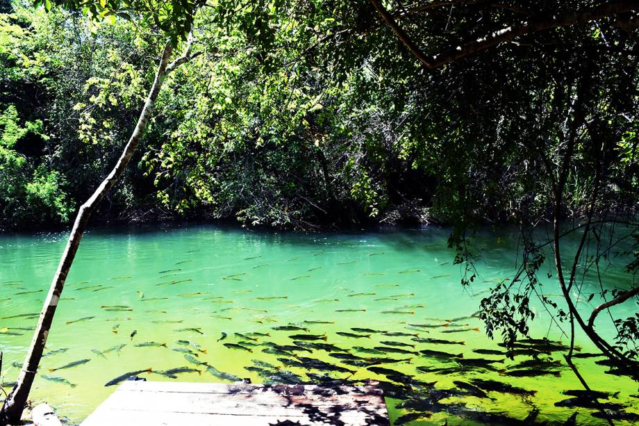 Ficar mais próximo da família é o que busca o empresário Vinícius Leone, 34 anos, de Sorocaba (SP). Casado e com dois filhos, em 2018 ele perdeu o pai e se deu conta de que nada justifica a ausência familiar. “Percebi que eu deixava para depois para cuidar do amor que a minha família tem por mim só porque eu tinha certeza de que ele existe. Em 2019, estarei mais presente”, afirma. E, para isso, até os objetivos profissionais mudaram. “Vou tentar extrair de mim e trazer para o mercado em que atuo uma forma mais gostosa do trabalho fluir”, planeja.Destino sugerido: Bonito (MS). A cidade é um destino de turismo de aventura com excelente nível de segurança para a prática de atividades na natureza, como o rafting. É um excelente destino para famílias. Ficar mais próximo da família é o que busca o empresário Vinícius Leone, 34 anos, de Sorocaba (SP). Casado e com dois filhos, em 2018 ele perdeu o pai e se deu conta de que nada justifica a ausência familiar. “Percebi que eu deixava para depois para cuidar do amor que a minha família tem por mim só porque eu tinha certeza de que ele existe. Em 2019, estarei mais presente”, afirma. E, para isso, até os objetivos profissionais mudaram. “Vou tentar extrair de mim e trazer para o mercado em que atuo uma forma mais gostosa do trabalho fluir”, planeja.Destino sugerido: Bonito (MS). A cidade é um destino de turismo de aventura com excelente nível de segurança para a prática de atividades na natureza, como o rafting. É um excelente destino para famílias.