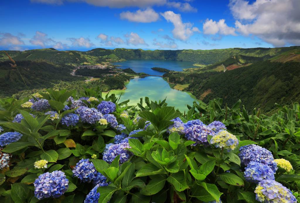 Hortênsias florescendo no Lago dos Açores