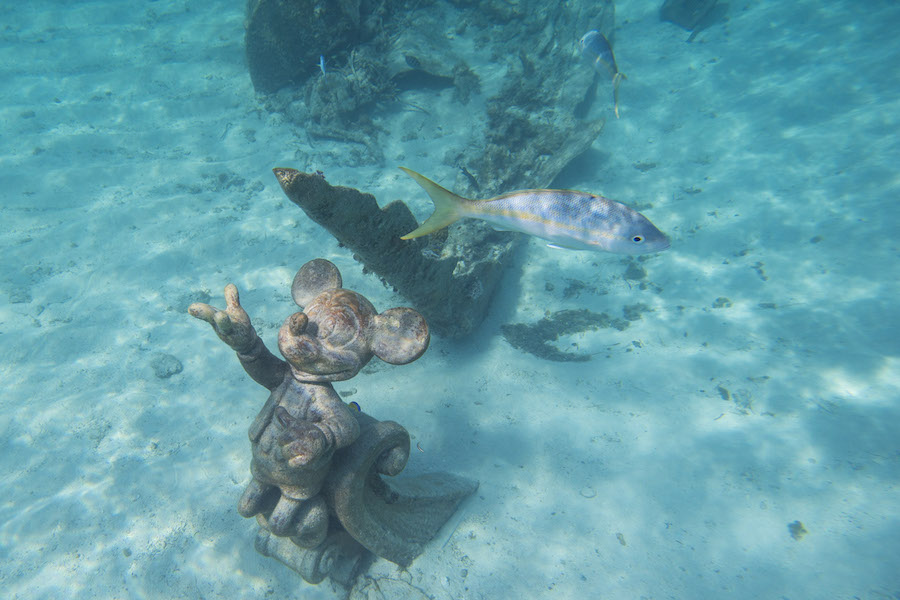 Fundo da lagoa em Castaway Cay, ilha da Disney Cruise Lines nas Bahamas