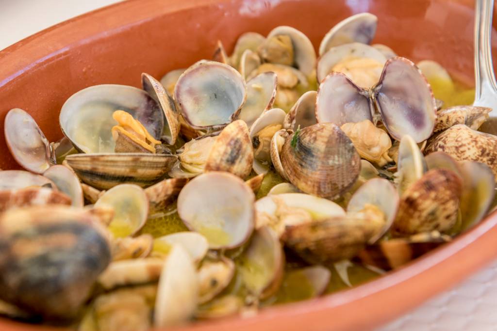 Zé Inácio, Porto Covo