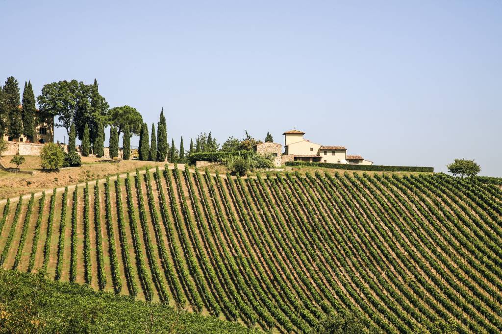 Vinhedo em Chianti, meca do enoturismo