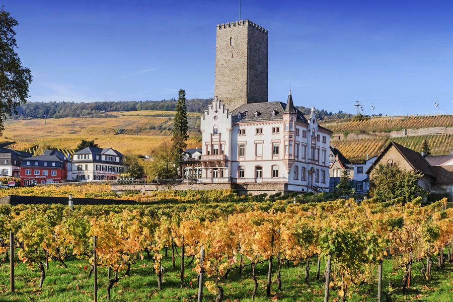 Boosenburg ou Oberburg Castle, Rüdesheim am Rhein, Alemanha