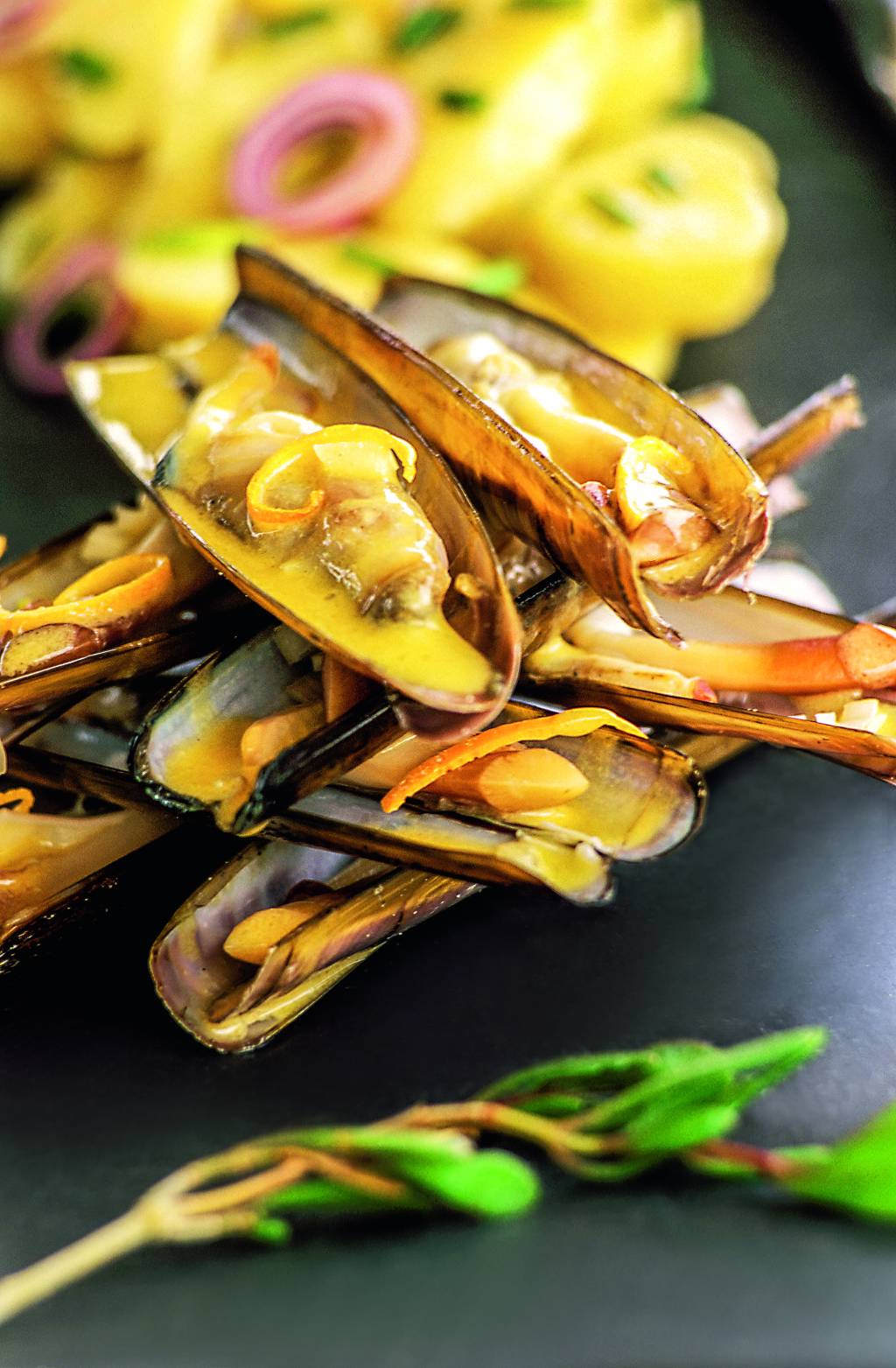 Navajas, estrela entre os frutos do mar da Galícia