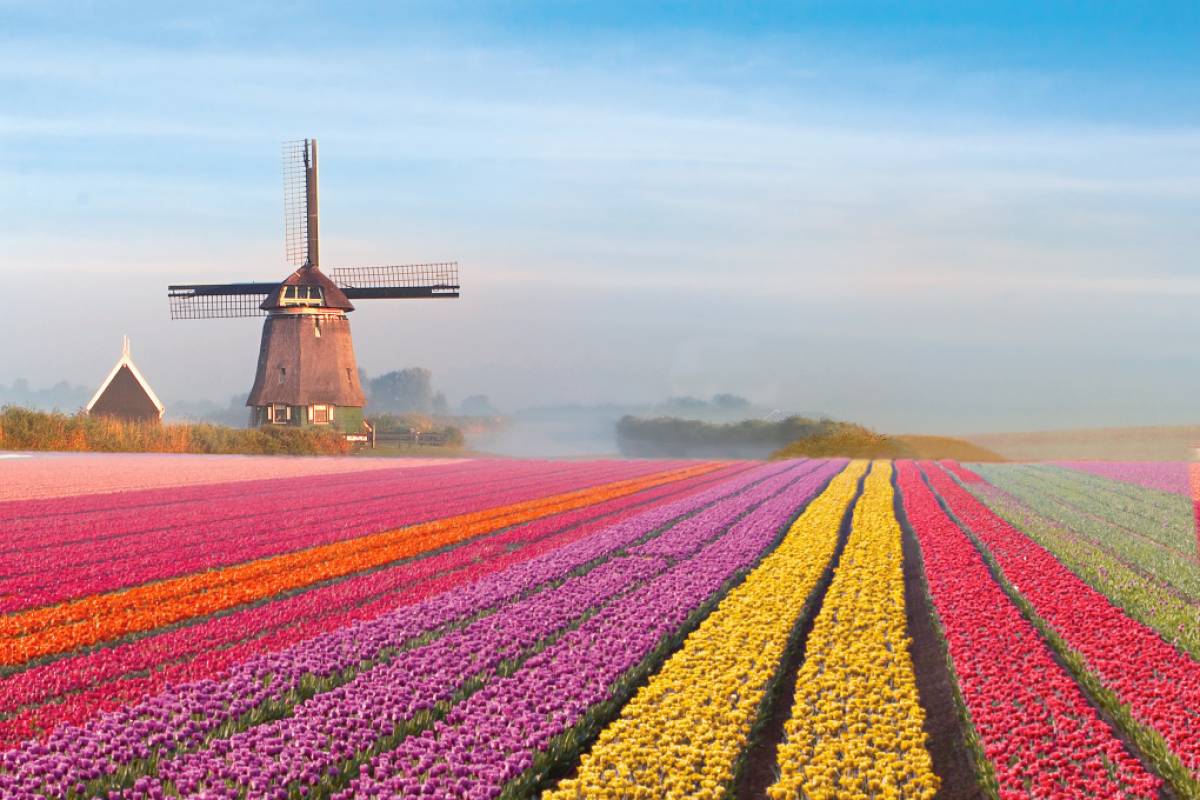 Roteiro na Holanda: dez dias perfeitos pelo país | Viagem e Turismo