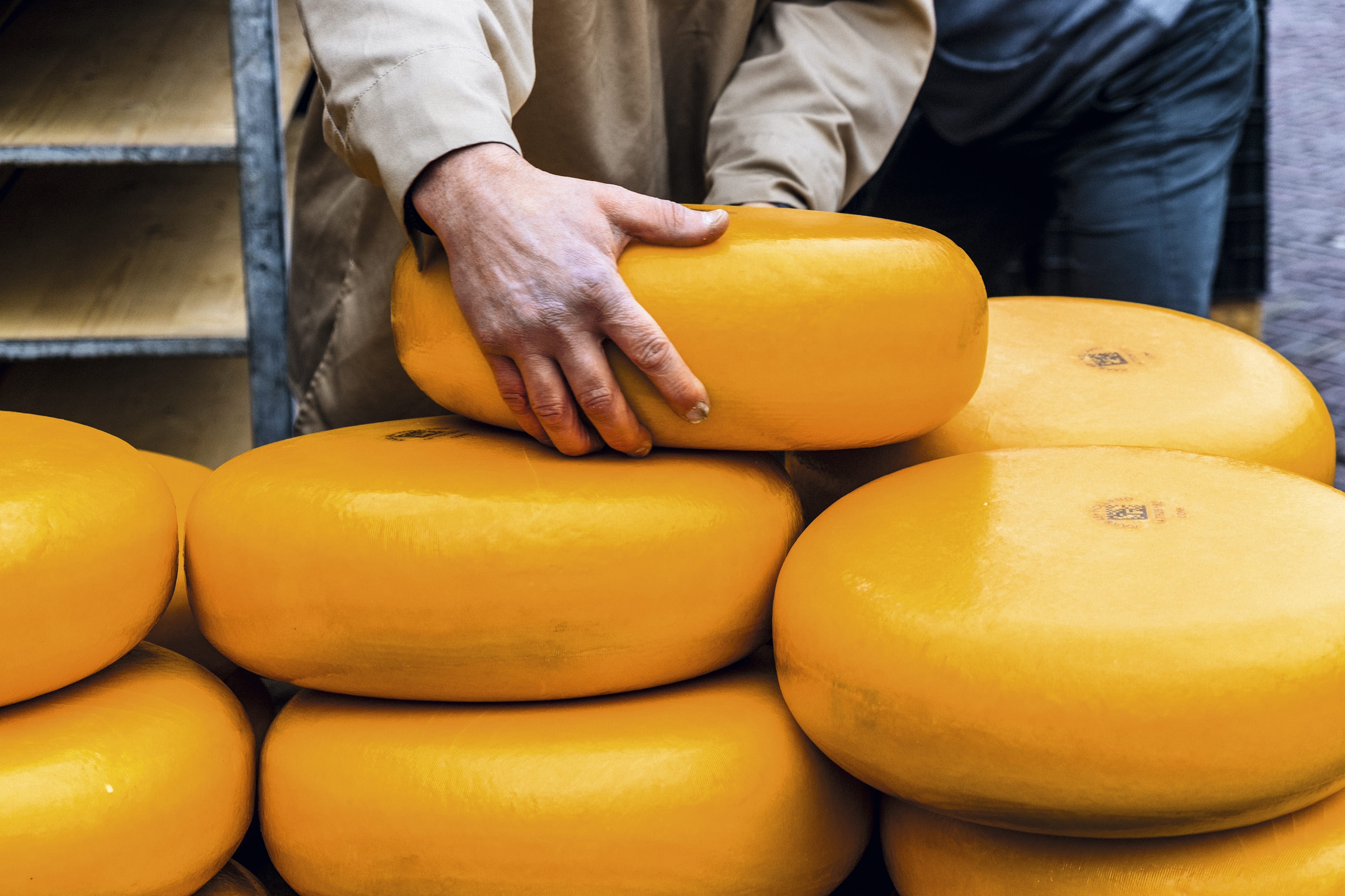 Não deixe de degustar queijos quando estiver na Holanda!
