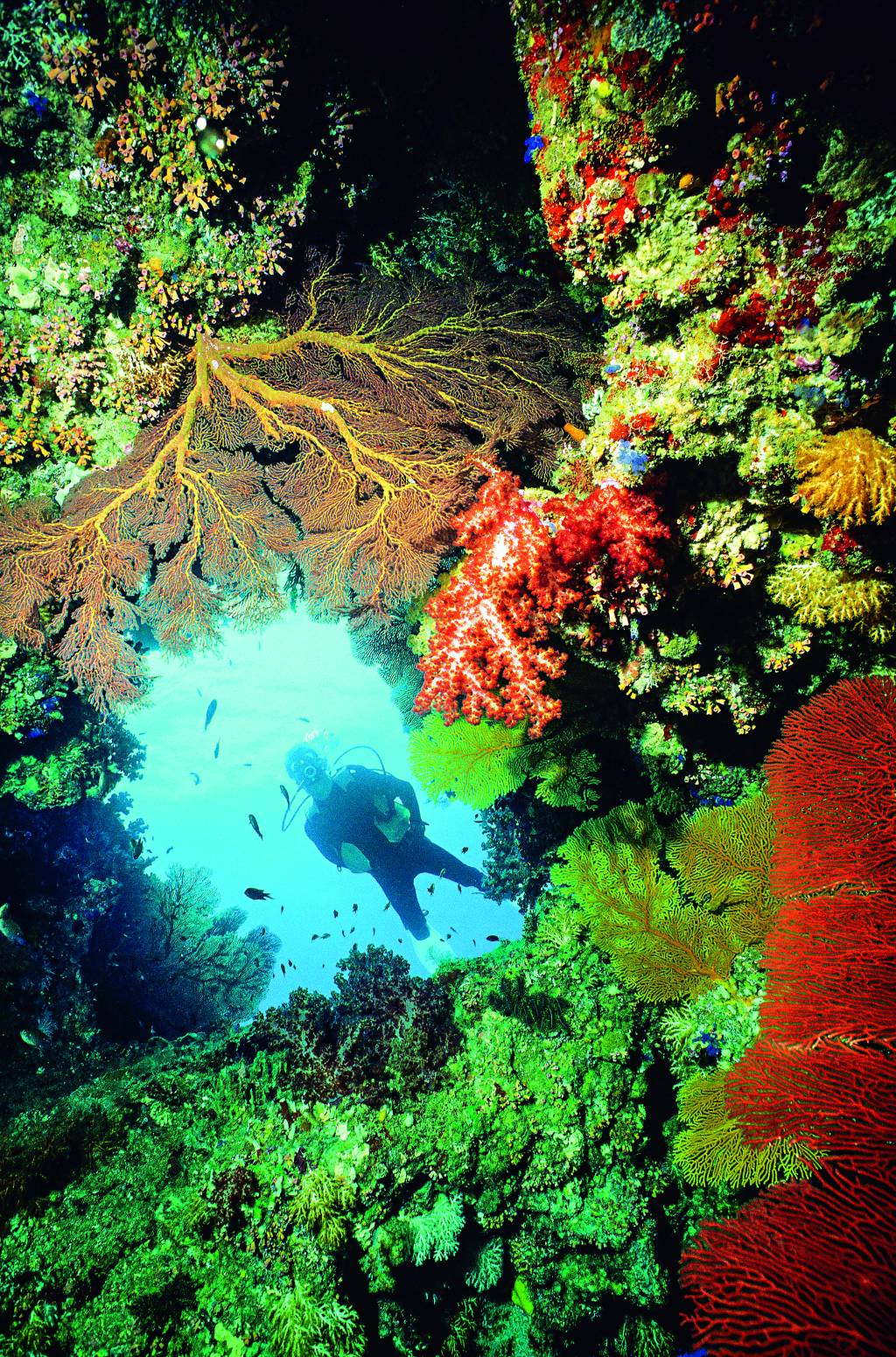 Fiji Fiji