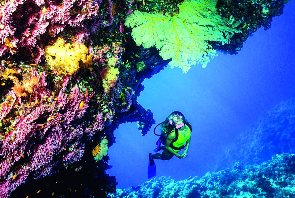 Grande Barreira de Corais, Queensland, Austrália Grande Barreira de Corais, Queensland, Austrália