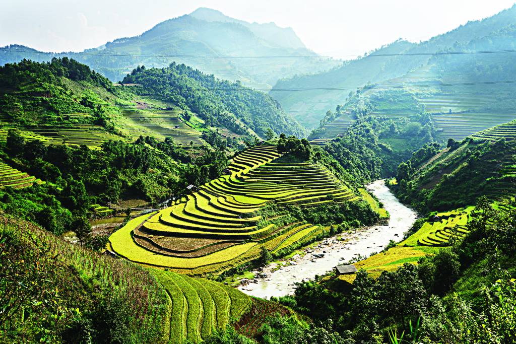 Terraços de arrozais nos arredores de Sapa