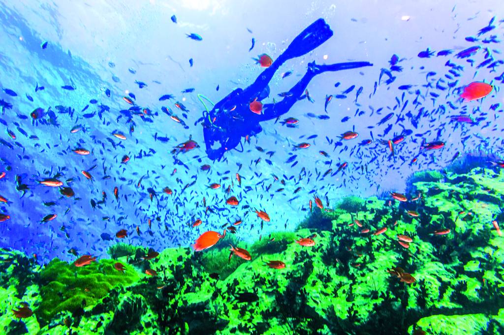Koh Tao, Tailândia Koh Tao, Tailândia
