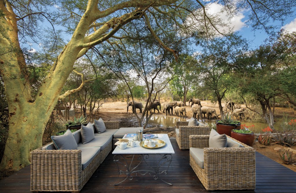 Elefantes soltos em &Beyond Ngala Safari Lodge, África do Sul
