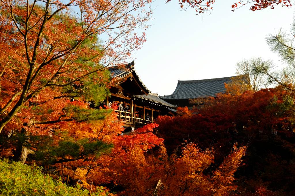 Templo de Tofuku-ji no outono é um dos mais bonitos de Kyoto. Crédito: