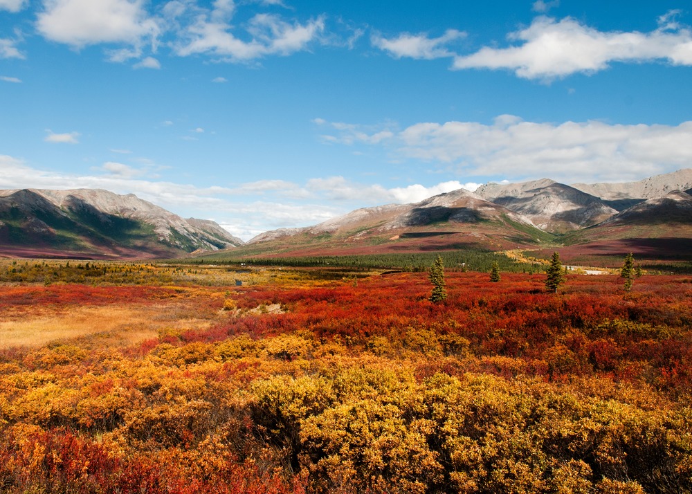 O Denali National Park, no Alasca, é uma opção diferente para visitar no outono. Crédito: