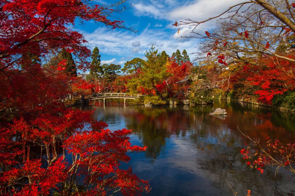 Nenhum outono é tão vermelho quanto o de Kyoto, no Japão. Crédito:
