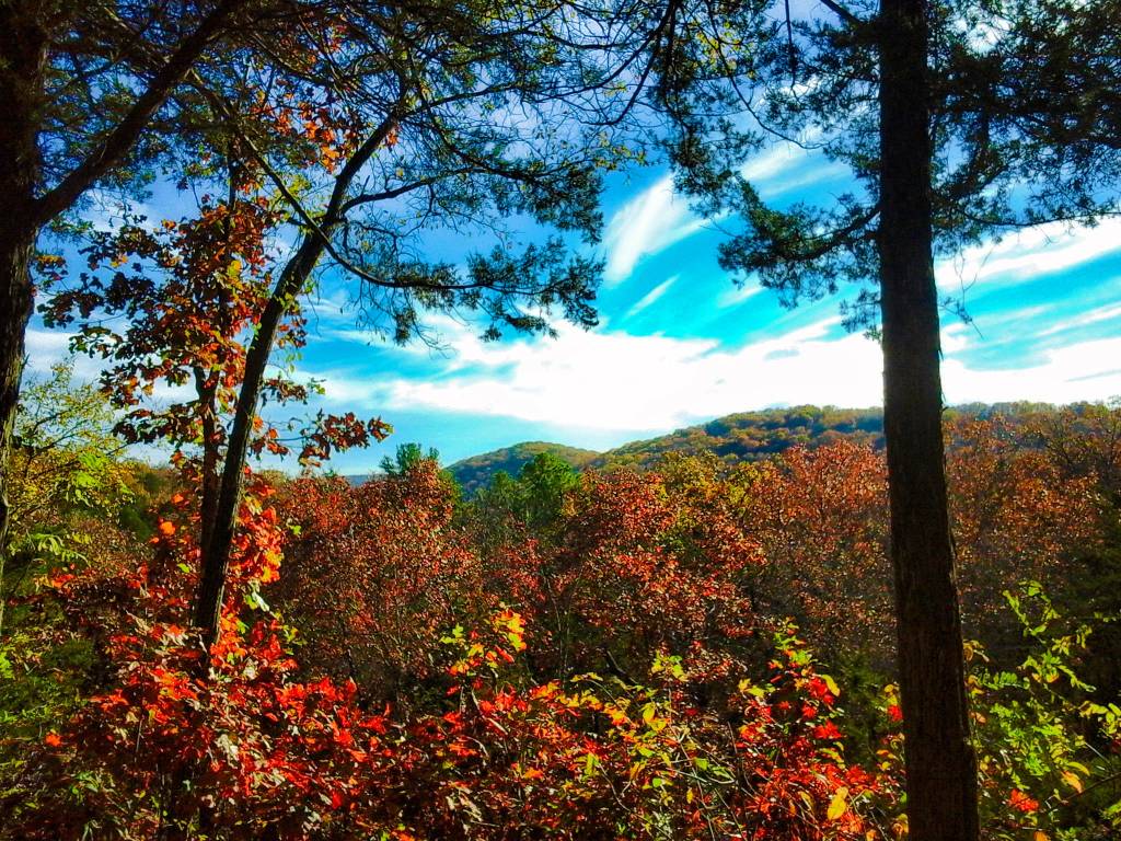 Ozark National Forest, no Arkansas. Crédito: