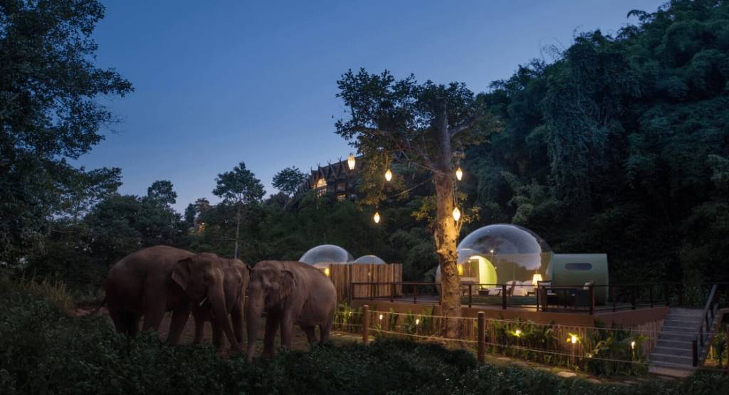 Anantara Gold Triangle Elephant Camp, Tailândia