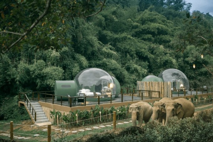 Anantara Gold Triangle Elephant Camp, Tailândia