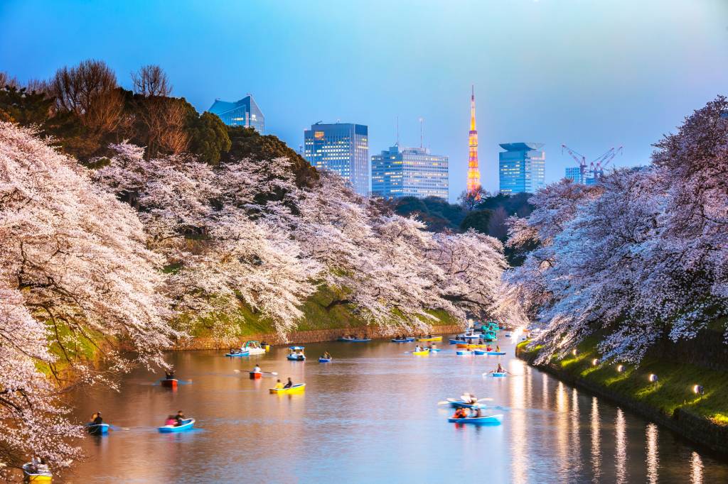 O fosso de Chidorigafuchi à noite. Crédito: