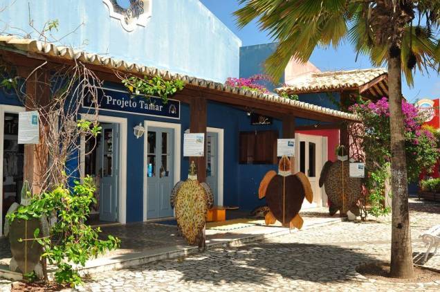 Há uma loja do Projeto Tamar na Vila Nova da Praia